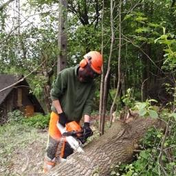 Usługi Ogrodnicze Zielony Ogród Patryk Nowak - Perfekcyjne Wycinanie Drzew Jastrzębie-Zdrój