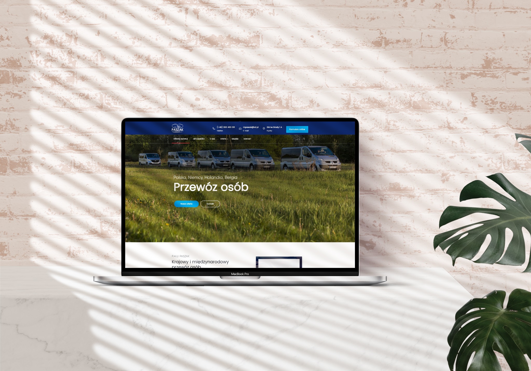 Ekran laptopa MacBook Pro wyświetlający stronę internetową firmy transportowej Paszak, z widocznymi busami na zielonym tle, na biurku z marmurowym blatem, dekoracja z liści monstery i cień żaluzji...