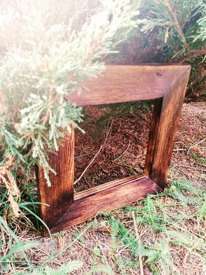 Pusta, kwadratowa, drewniana rama z ciemnego drewna, leżąca na ziemi porośniętej trawą i igliwiem, obok małej, zielonej rośliny iglastej.