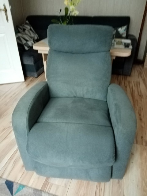 Fotel z zielonkawym obiciem przed renowacją, widoczne ślady użytkowania i zabrudzenia, na drewnianej podłodze, w tle kanapa i stół.