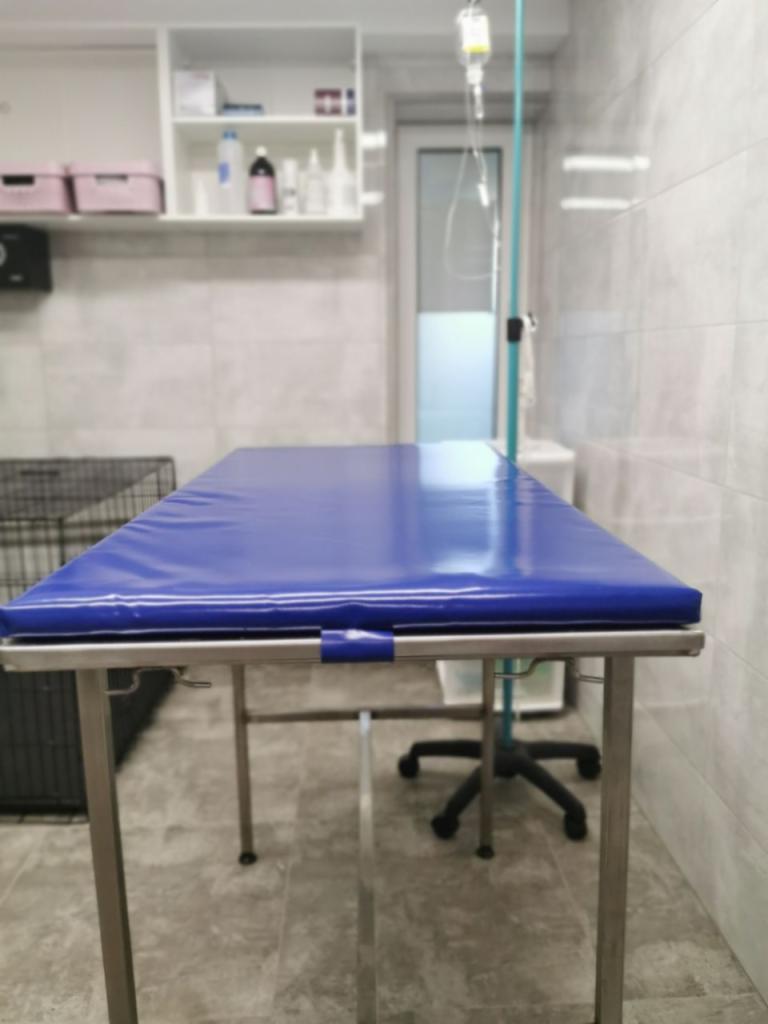 Stalowy stół zabiegowy z niebieskim, wodoodpornym obiciem w jasnym gabinecie, widoczna kroplówka i półka z lekami.