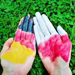 deutsch-polnisch Uebersetzter / Tlumacz polsko-niemiecki