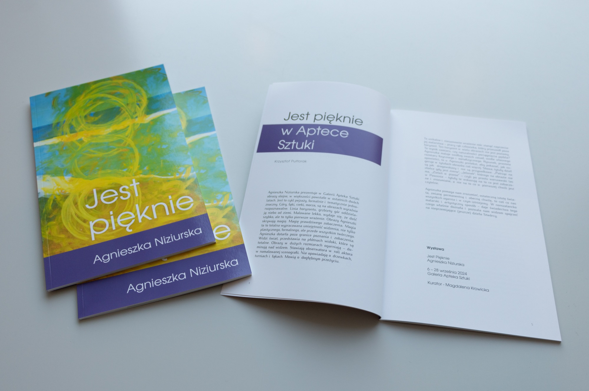 Katalog wystawy malarstwa 'Jest Pięknie' Agnieszki Niziurskiej w Galerii Apteka Sztuki, prezentujący obrazy olejne z pejzażami gór, łąk, rzek i mórz, leżący obok dwóch egzemplarzy okładki katalogu.
