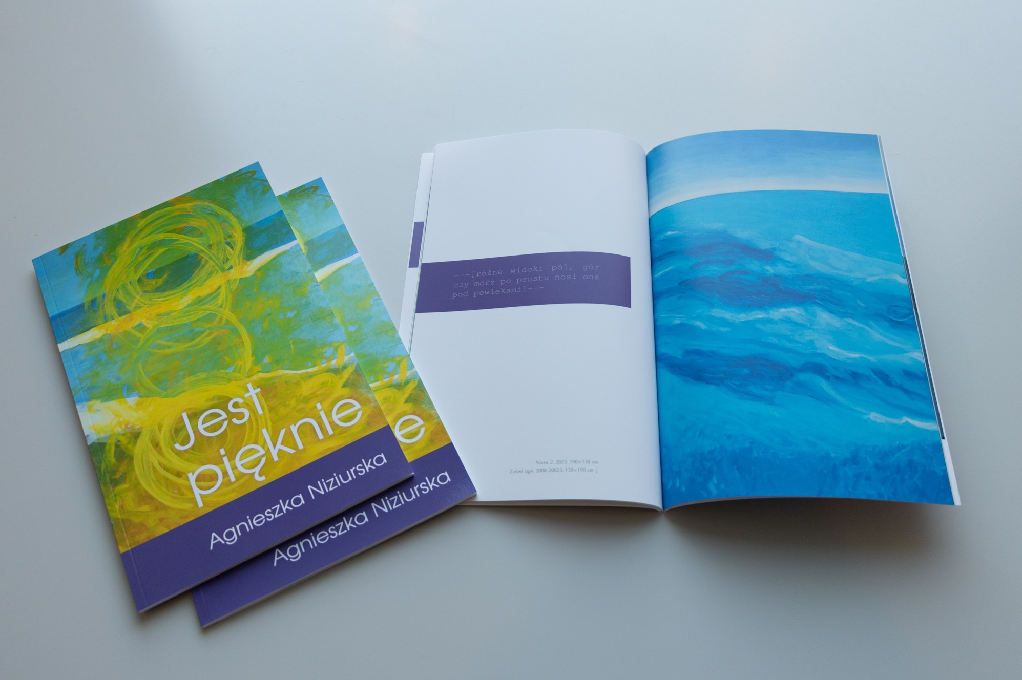 Otwarty album prezentujący reprodukcję obrazu morskiego, obok dwa identyczne albumy z okładką w odcieniach zieleni, błękitu i żółci z tytułem 'Jest pięknie' i nazwiskiem Agnieszki Niziurskiej.