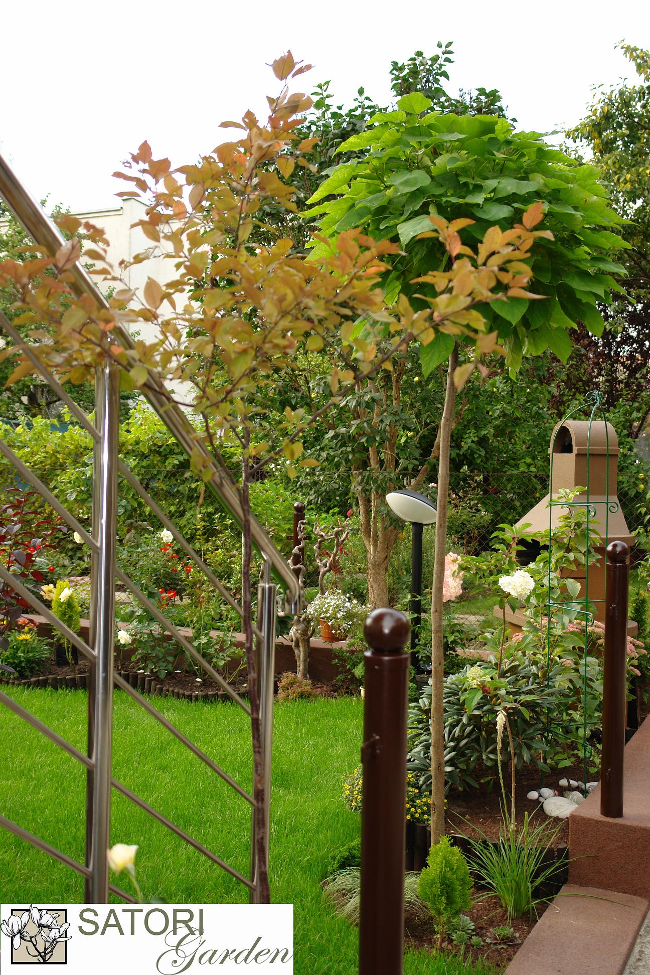 Ujęcie z poziomu trawnika na zadbany ogród z młodymi drzewkami o ozdobnych liściach, widok przez metalową barierkę schodów.