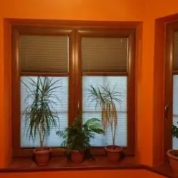 Jasne plisy okienne w brązowych ramach, widok z wnętrza pomarańczowego pokoju, rośliny doniczkowe na parapecie.