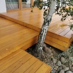 Jasna, drewniana konstrukcja tarasu z poziomami, otaczająca rosnącą brzozę z zielonymi liśćmi, kamieniste podłoże.