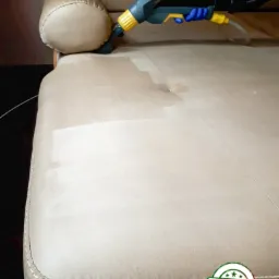 Pranie Tapicerki Carabu Alkantara Penta