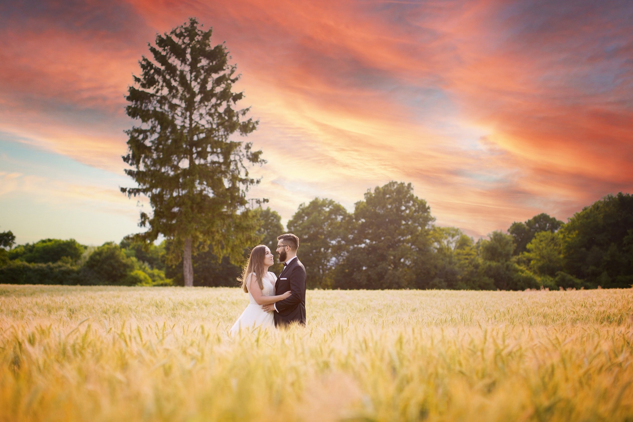 Para młoda obejmuje się na polu zboża podczas zachodu słońca z dużą choinką w tle.