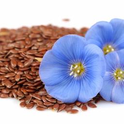 Agrocom-trade service LLP - Rolnicy Kostanay