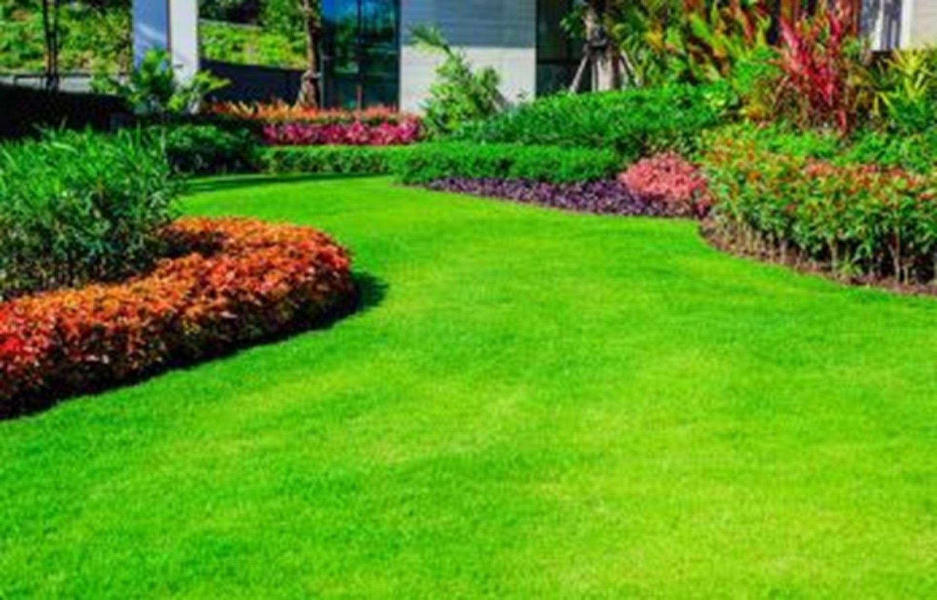 Perfekcyjnie utrzymany trawnik z rabatami kwiatowymi, uformowany w falujące linie, z budynkiem w tle.