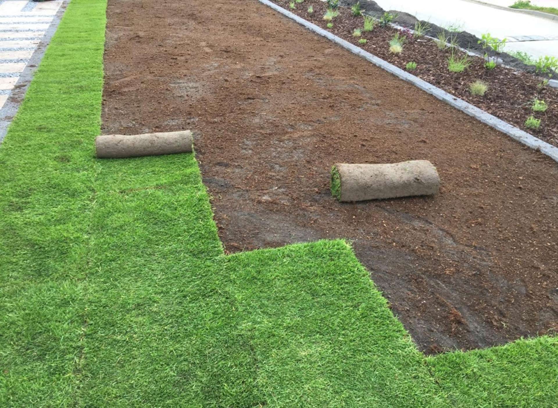 Fragment ogrodu z rozłożonymi rolkami trawy i świeżo ułożonymi fragmentami, widoczna granica z kostki i rabata z roślinami.