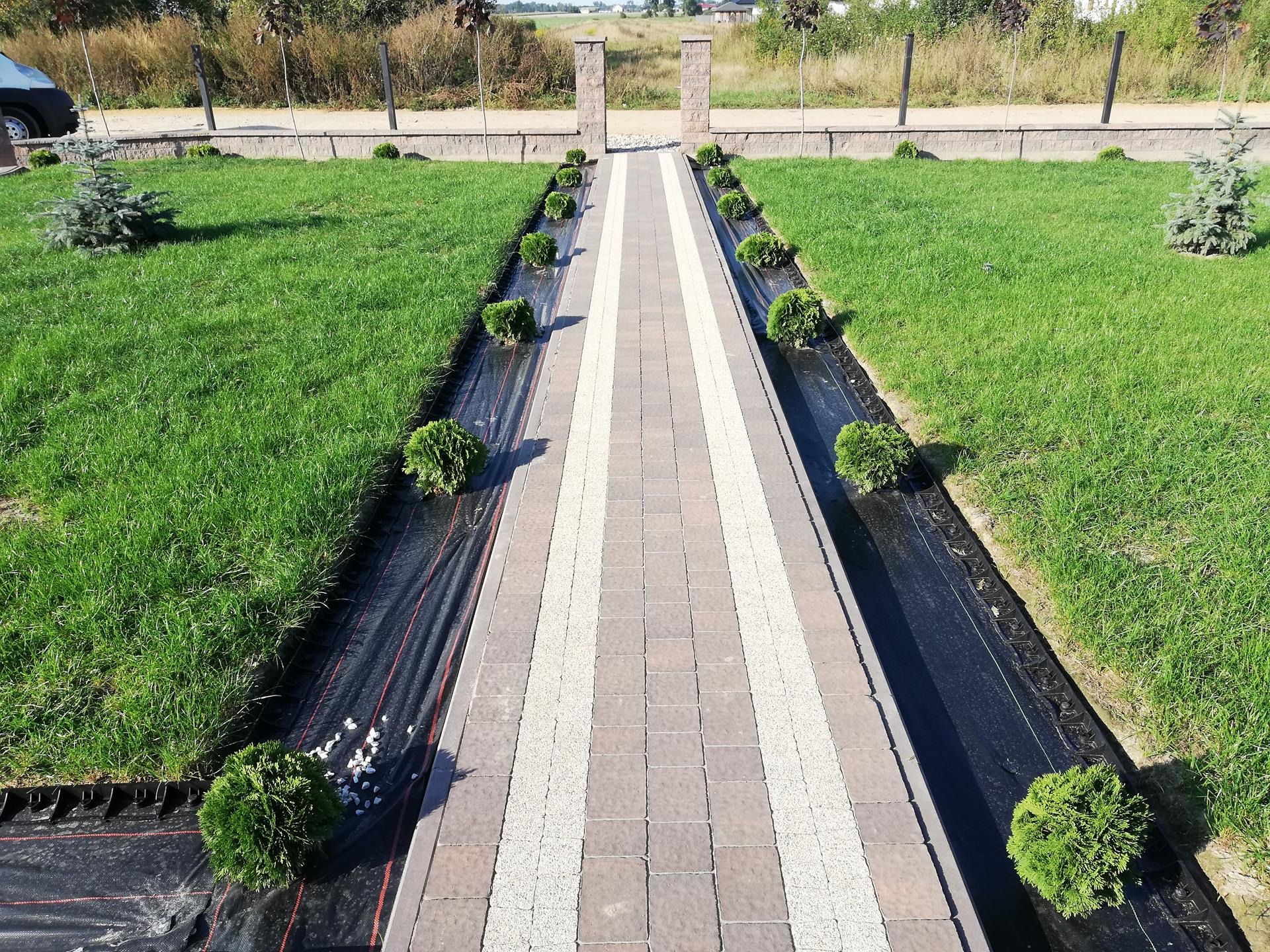 Ścieżka z kostki brukowej w ogrodzie, z młodymi krzewami i agrowłókniną, widok z góry w kierunku bramy.