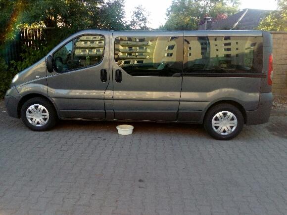 Szary van z ciemnymi szybami zaparkowany na brukowanej powierzchni, widoczny budynek odbijający się w szybach, mała biała miska leżąca pod autem.