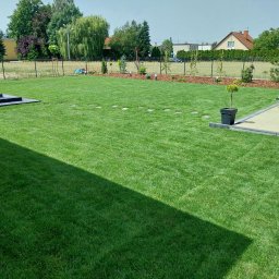 Trawa z rolki Rydzyna 2