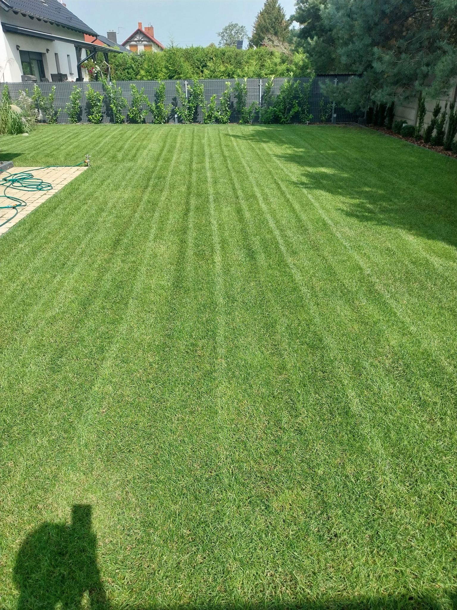 Perfekcyjnie przystrzyżony trawnik z wyraźnymi pasami, nowoczesny dom w tle, zielony wąż ogrodowy na kostce brukowej, cień osoby w lewym dolnym rogu.