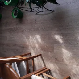 Jasne panele podłogowe z widocznym wzorem drewna, oświetlone promieniami słonecznymi, z fragmentami mebli i roślin w tle.