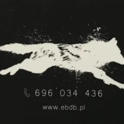 Czarno-biała wizytówka z sylwetką biegnącego wilka wykonaną w stylu rozprysków farby, poniżej numer telefonu i adres strony internetowej.