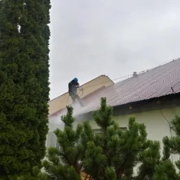 Pracownik w niebieskim kasku czyści czerwoną blachodachówkę budynku za pomocą myjki ciśnieniowej, widok z dołu, na pierwszym planie wysokie drzewo iglaste.