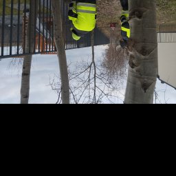 Kamil Woźniak - Nowoczesne ogrodzenie panelowe w kolorze grafitowym, widoczne zza pni drzew, z pracownikami w odblaskowych kamizelkach podczas montażu.