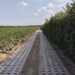 Długa droga polna wzmocniona ażurowymi płytami betonowymi, prowadząca przez teren z niską roślinnością i żywopłotem, widok w perspektywie.