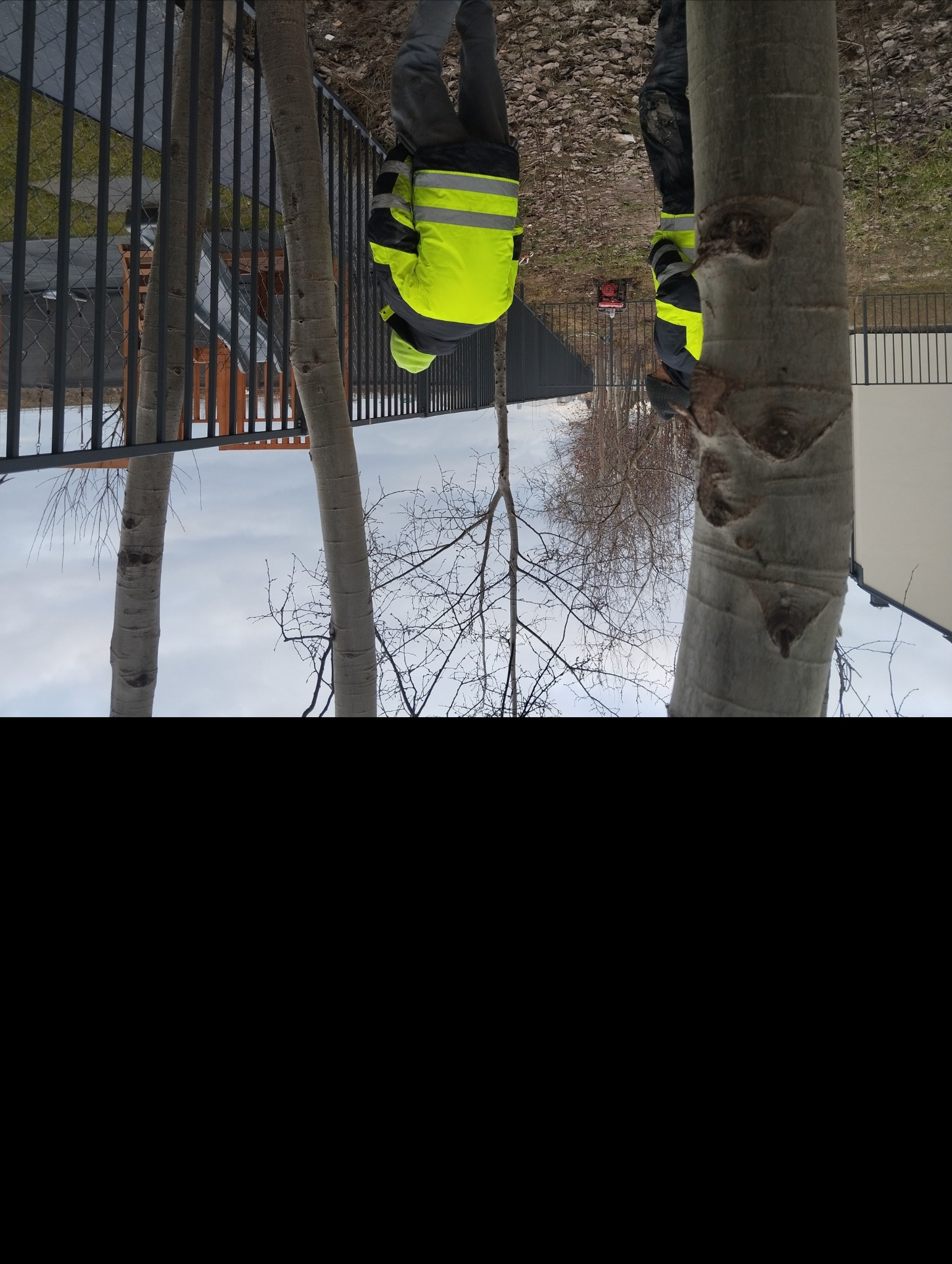 Nowoczesne ogrodzenie panelowe w kolorze grafitowym, widoczne zza pni drzew, z pracownikami w odblaskowych kamizelkach podczas montażu.