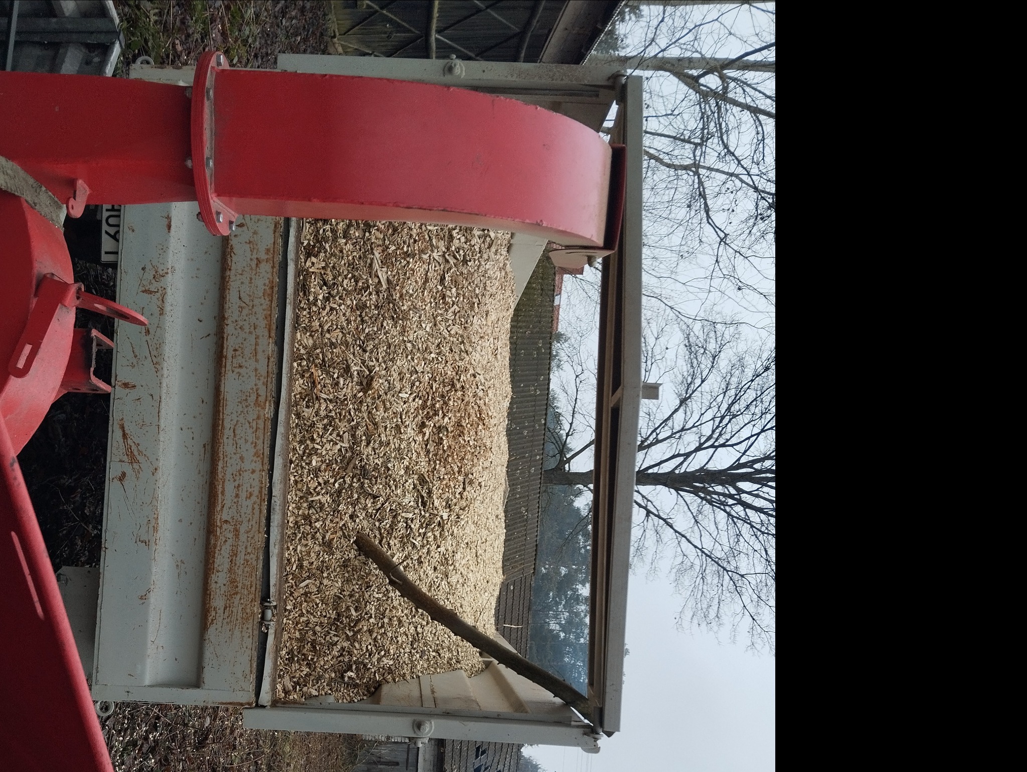 Przyczepa wypełniona świeżo zmielonymi zrębkami drewna, widoczny fragment rębaka w kolorze czerwonym, na tle drzewa bez liści i fragmentu dachu budynku.