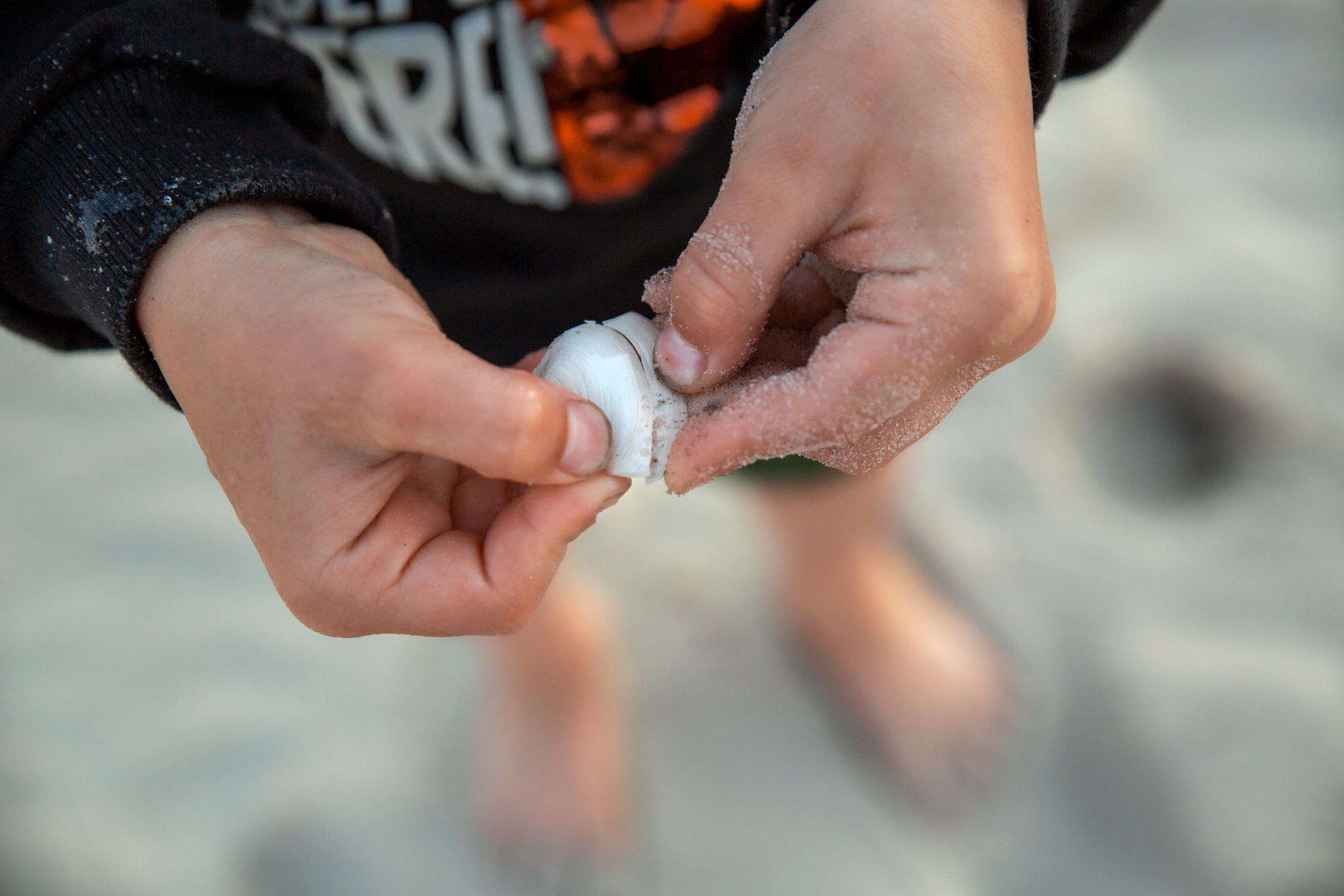 Dziecięce dłonie, pokryte piaskiem, trzymają białą muszlę na tle piaszczystej plaży, widoczne bose stopy dziecka i fragment bluzy z nadrukiem.