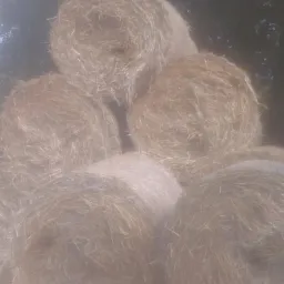 Stos okrągłych bel siana na polu w Kistowie, częściowo zasłonięty mgłą lub kurzem, z drzewami w tle.