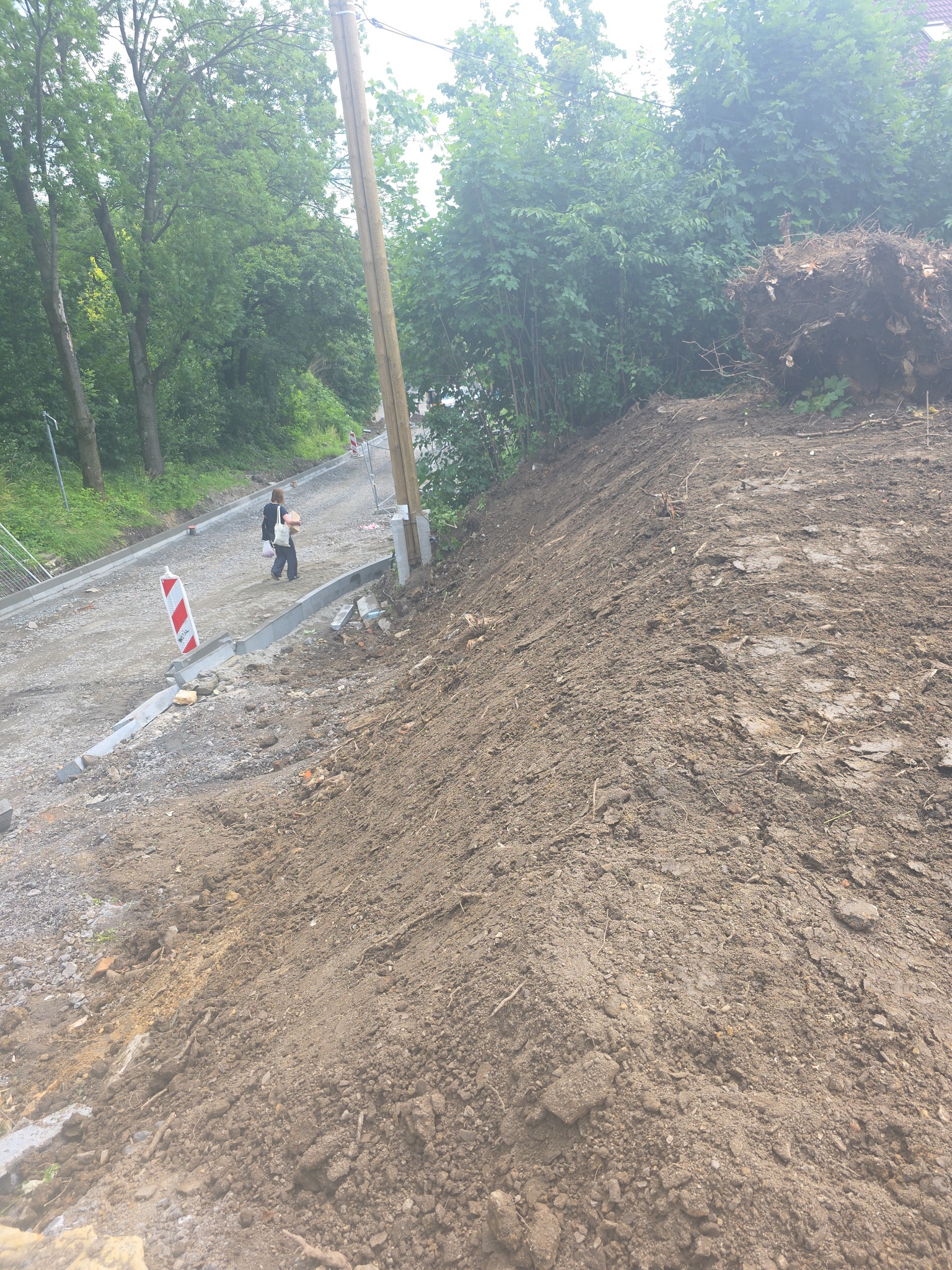 Budowa drogi gruntowej z krawężnikami, widoczny fragment korzenia drzewa. Dwie osoby spacerują po nowej drodze. Prace ziemne w toku, teren nierówny.