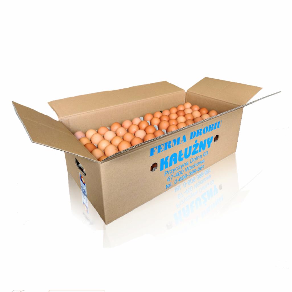 Otwarty karton wypełniony brązowymi produktami drobiowymi, z nadrukowanym niebieskim logo i danymi kontaktowymi firmy Ferma Drobiu Kałużny.