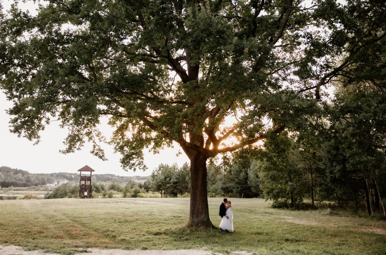 Para młoda w objęciach pod rozłożystym dębem na tle drewnianej wieży widokowej i zachodzącego słońca.