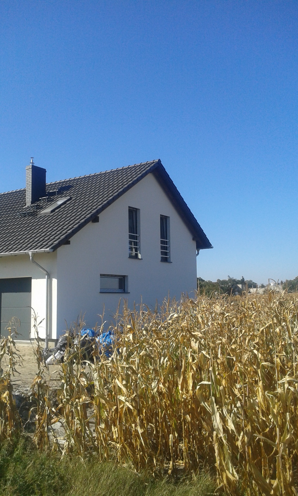 Nowoczesny dom jednorodzinny z szarym dachem i oknami zabezpieczonymi poziomymi, metalowymi prętami, otoczony polem uschniętej kukurydzy pod błękitnym niebem.