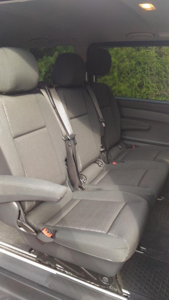 Wnętrze busa z trzema rzędami szarych foteli z pasami bezpieczeństwa, widok z boku na zielone drzewa za oknem.