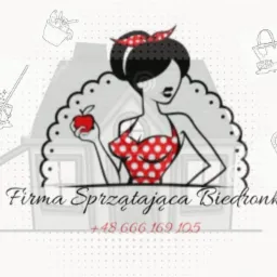 Grafika z logo firmy sprzątającej, stylizowana na retro, z wizerunkiem kobiety trzymającej jabłko, obok niej mop, wiadro, odkurzacz i podpis 'Firma Sprzątająca Biedronka' z numerem telefonu.