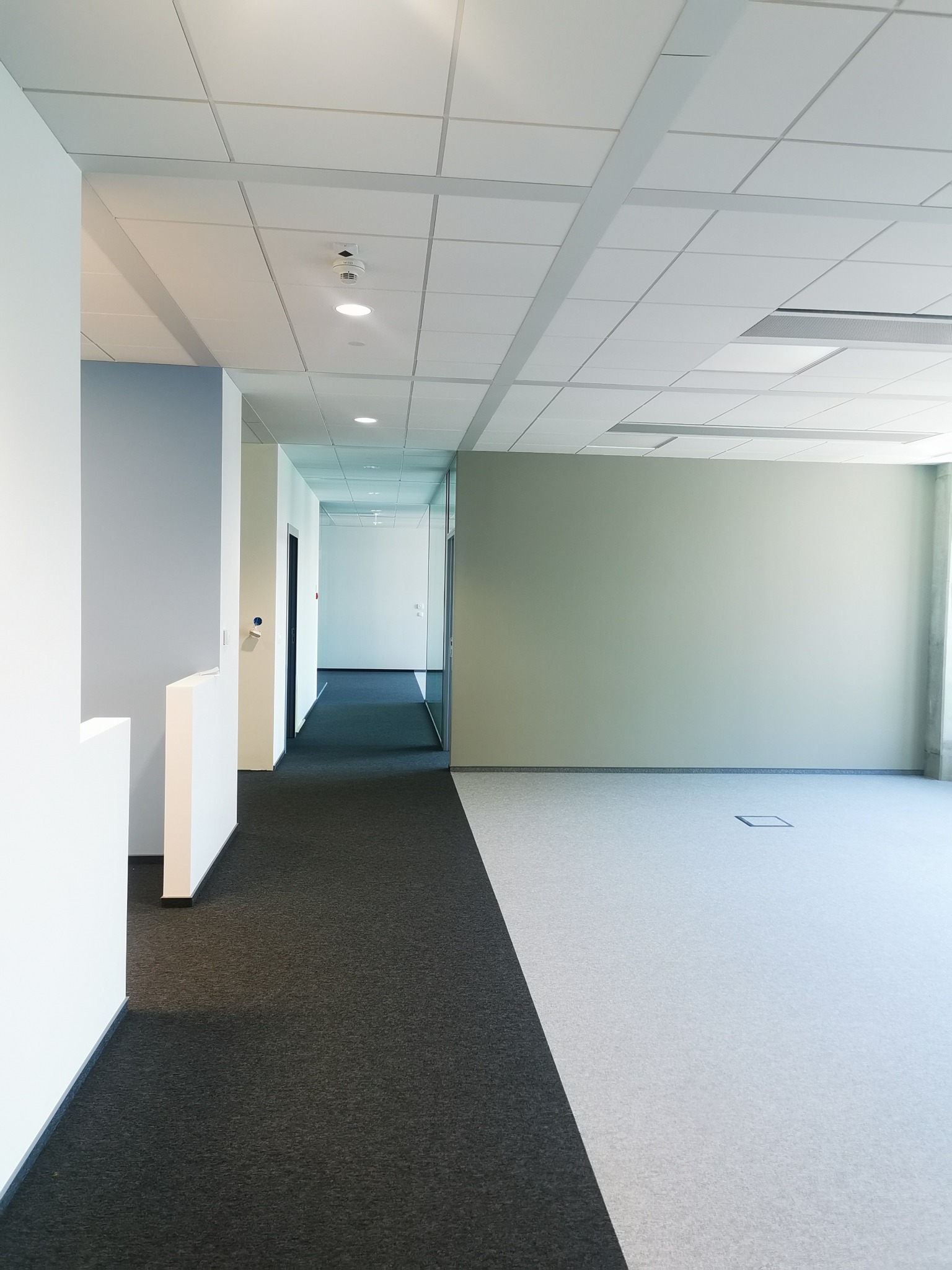 Wnętrze biurowe z podwieszanym sufitem kasetonowym, dwukolorową wykładziną dywanową (szara i biała) oraz świeżo pomalowanymi ścianami w odcieniach szarości i zieleni, widok na korytarz...