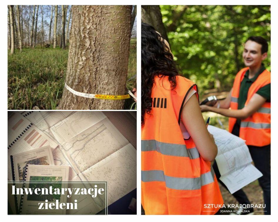 Inwentaryzacja zieleni: pomiar obwodu drzewa taśmą mierniczą, analiza map terenu przez osoby w kamizelkach odblaskowych, notatki na temat stanu roślinności.