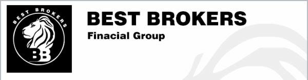 Logo Best Brokers Financial Group: lew w okręgu, inicjały BB, nazwa firmy i subtelne, szare grafiki w tle. Minimalistyczny design.