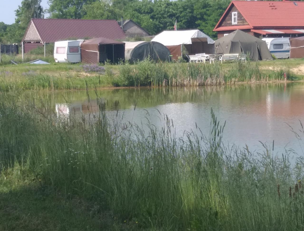 Kemping nad jeziorem z przyczepami i namiotami w otoczeniu zieleni, widok z niskiej perspektywy przez trawę przy brzegu.