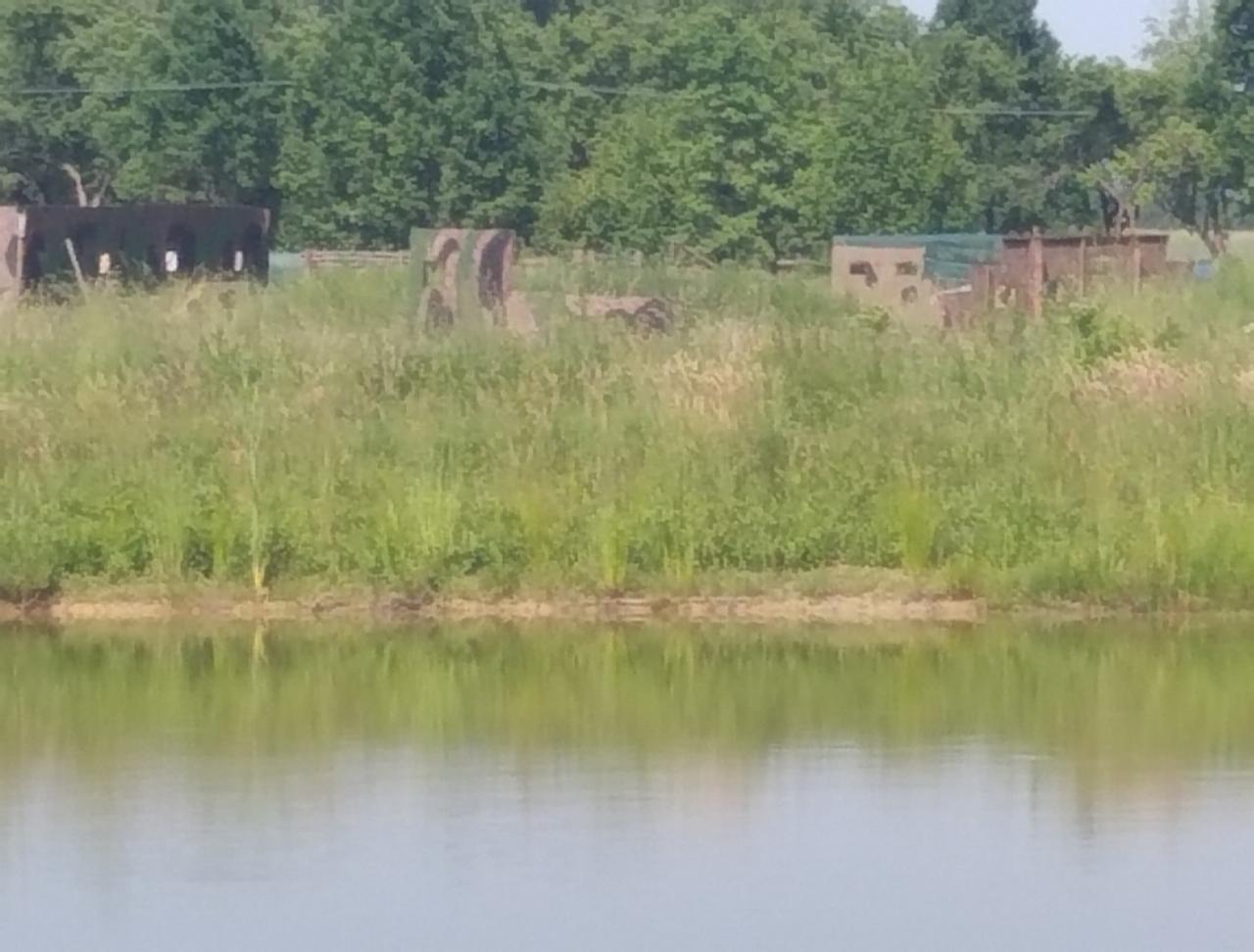 Teren do paintballa z przeszkodami, częściowo ukryty w wysokiej trawie, odbijający się w tafli wody.