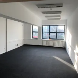 Puste, jasne biuro z czarną wykładziną, białymi ścianami, grzejnikiem pod oknem i oświetleniem sufitowym. Promienie słoneczne wpadają przez okno.