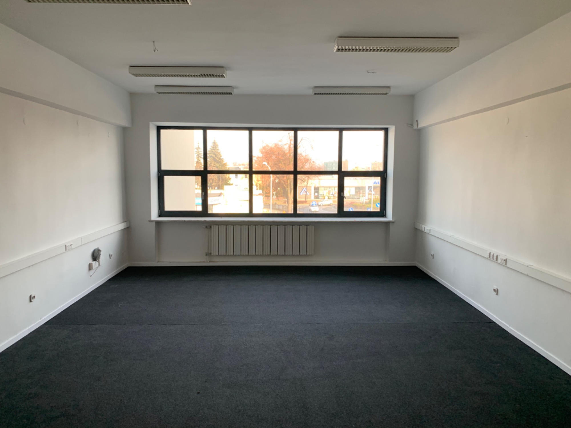 Puste biuro z ciemną wykładziną, białymi ścianami i dużym oknem z widokiem na drzewa bez liści. Grzejnik pod oknem. Widoczne listwy przypodłogowe i oświetlenie sufitowe.