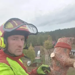 Arborysta w kasku, z widokiem z góry na drzewo po cięciu, zabezpieczone czerwoną taśmą, w tle las i zabudowania. Praca wysokościowa po obcięciu gałęzi.