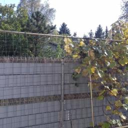 Malowanie Warszawa 4