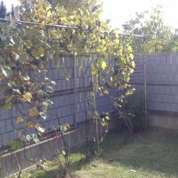 Adam Przyborowski - Szary panelowy płot z metalową siatką i metalową konstrukcją pod winorośl, zielony trawnik i drzewa w tle.