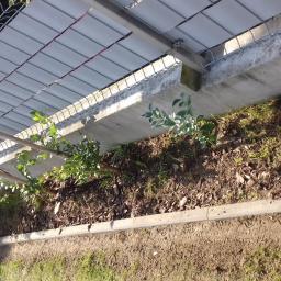 Adam Przyborowski - Widok z góry na wąski pas ziemi z posadzonymi krzewami i drzewkami, ograniczony betonowym krawężnikiem i ścianą, z metalową konstrukcją nad roślinami.