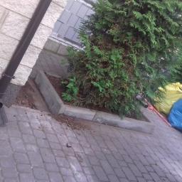 Adam Przyborowski - Ułożona kostka brukowa przed budynkiem z rynną spustową, obok rabaty z tujami i workami na śmieci.