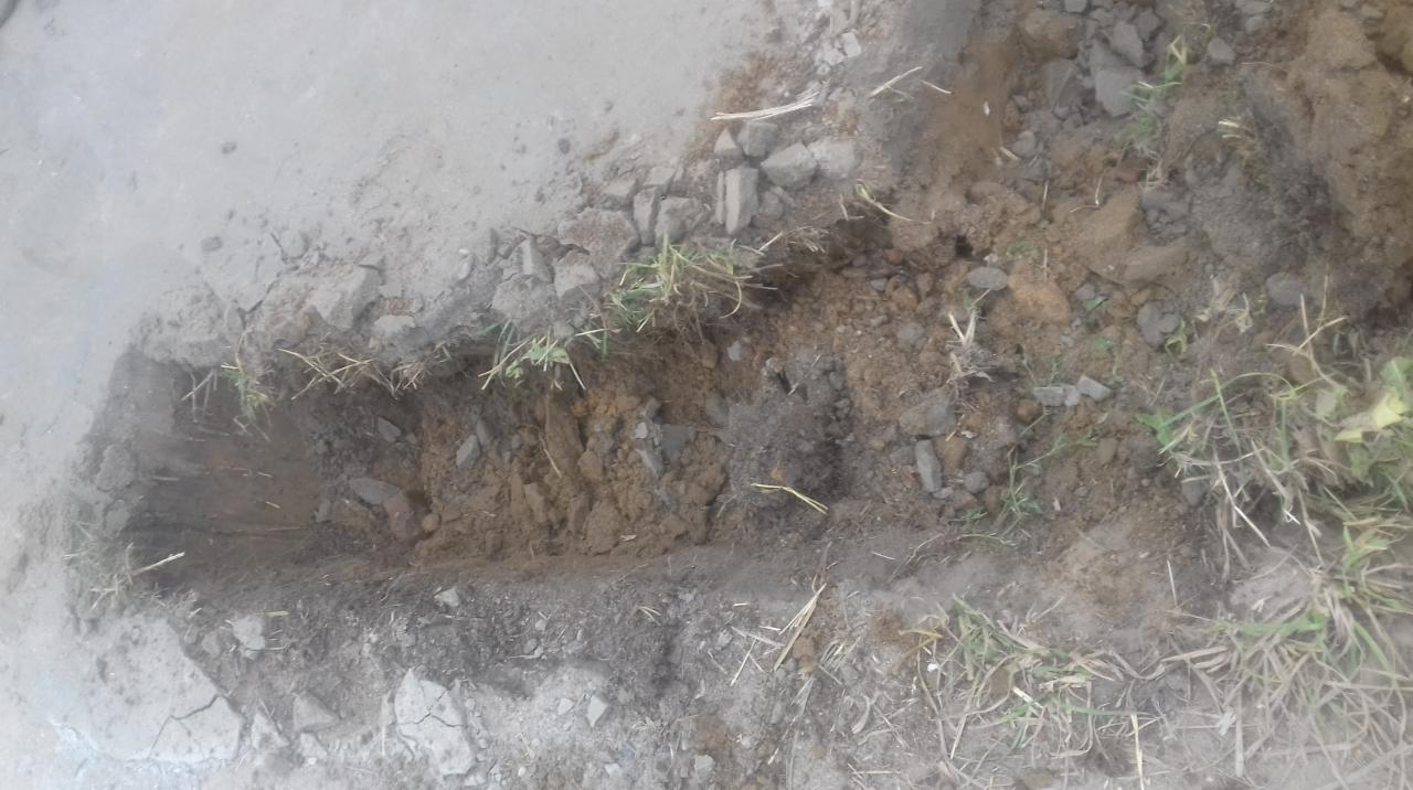 Wąski wykop w ziemi, częściowo przykryty betonową płytą, widoczne korzenie i trawa na krawędziach.