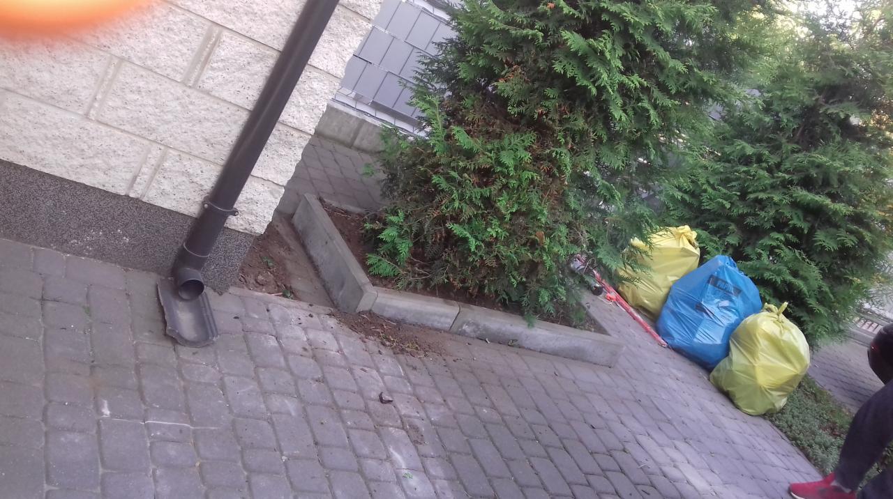 Ułożona kostka brukowa przed budynkiem z rynną spustową, obok rabaty z tujami i workami na śmieci.