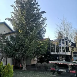 Wysoka, gęsta choinka przed domem, obok zaparkowany podnośnik koszowy z podniesionym koszem i widocznym numerem rejestracyjnym, na trawniku stoi pomarańczowy pachołek.